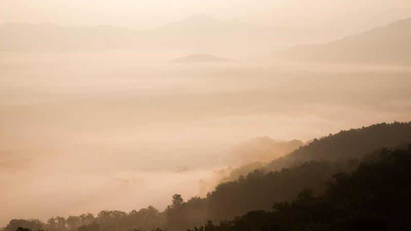 Umetna inteligenca vizualizacija