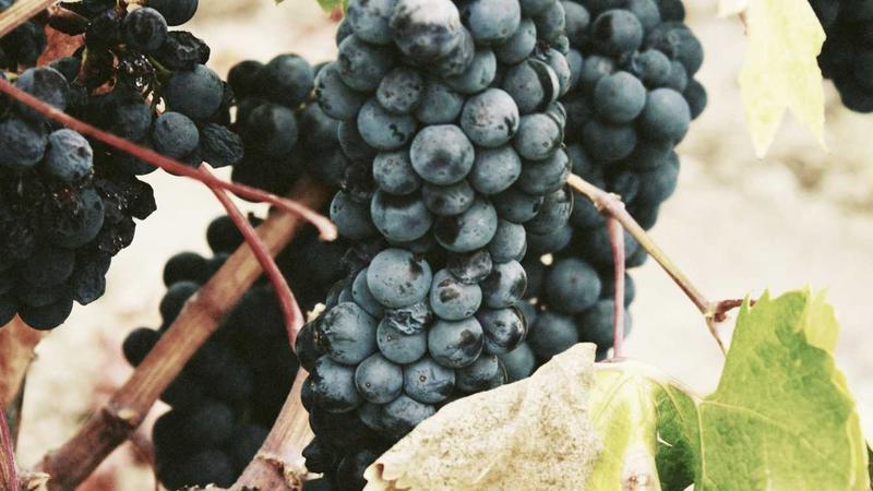 NKBM kreditna kartica