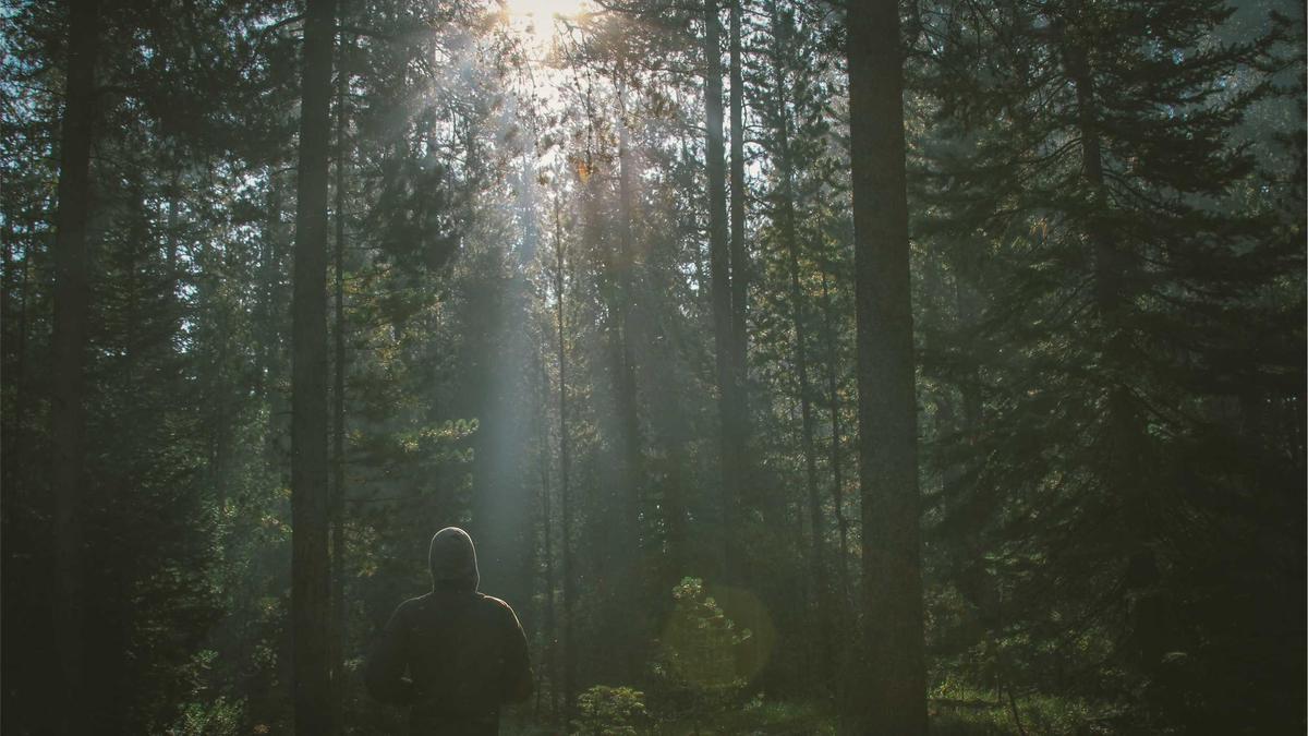 Seja vlade Republike Slovenije